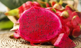 如何在北方种植火龙果 如何在北方种植火龙果视频