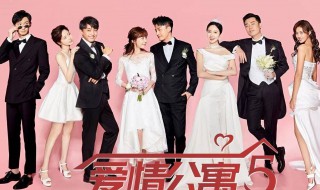 爱情公寓5大结局如何 爱情公寓5大结局怎么样