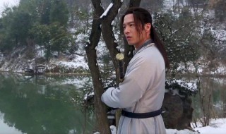 将夜2的大结局是什么(将夜2的大结局是什么样的)