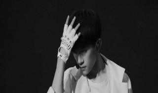 崇利明和阿易为何反目（阿易和崇利明的关系）