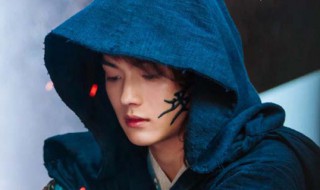 招摇墨青脸上为何有花纹（招摇墨青图片）