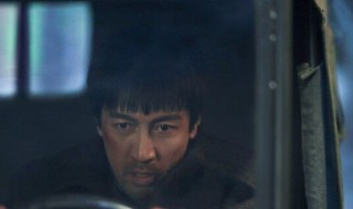 铁林和金缨为何要离婚 铁林为啥跟大缨子离婚