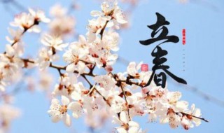 立春节气祝福语（立春节气祝福语今日立春的祝福语）