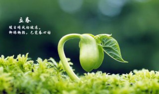 2021立春节气经典祝福语朋友圈文案 2021大雪节气的诗意朋友圈文案