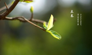 关于描写立春的句子 关于描写立春的句子有哪些