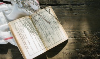 安禄山和杨贵妃历史上真有关系吗 安禄山跟杨贵妃有关系吗