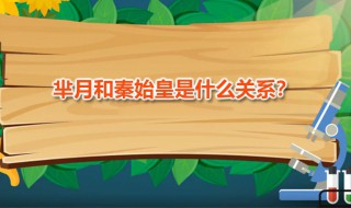 芈月和秦始皇关系 芈月和秦始皇关系图肖王