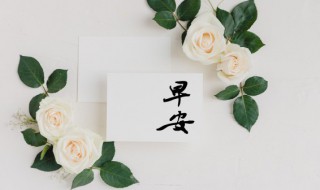 美好的早安祝福语语录摘录（美好的早安祝福语语录摘录大全）