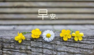 简短的美好的早安祝福语（优美简短的早安祝福语）