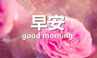 美好的早安朋友圈祝福语摘录 朋友圈早安问候祝福语