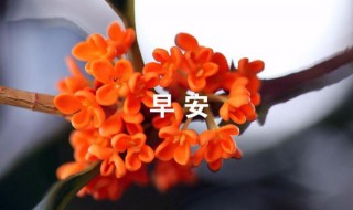 简洁的美好的早安QQ祝福语 简洁的美好的早安qq祝福语大全