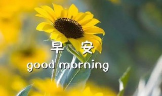 简单的美好的早安微信祝福语(早安温馨短信早安的祝福语)