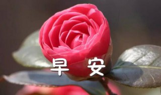 简洁的美好的早安朋友圈祝福语摘录（朋友圈唯美早安语）