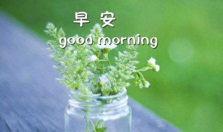 通用美好的早安朋友圈祝福语摘录（早安寄语朋友圈）