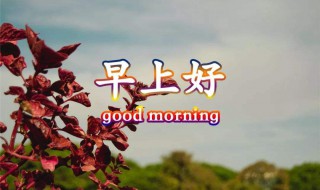 美好的早安祝福语（美好的早安祝福语简短）