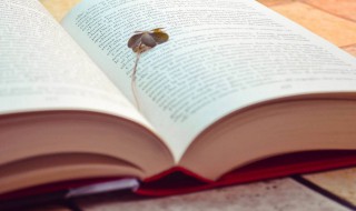 低调的个性签名 低调的个性签名简短