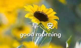 经典美好的早安朋友圈祝福语摘录(朋友圈唯美早安语)