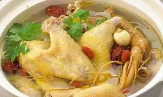 人参鸡汤做法 人参鸡汤做法介绍