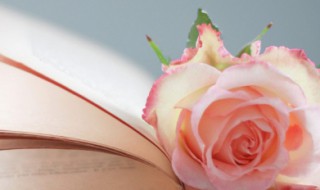 2021朋友圈早安一句话短句 2021朋友圈早安一句话短句图片