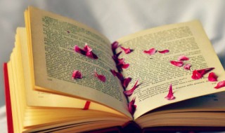 形容人生励志的优美短句 关于人生励志的句子优美