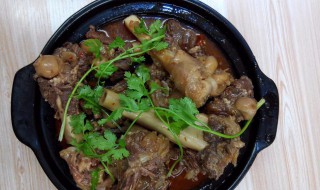 羊肉砂锅煲做法大全 羊肉砂锅煲做法