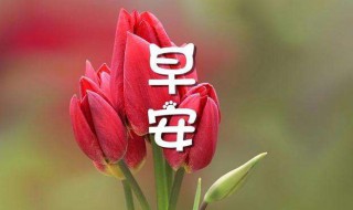 问候语及关心话早上好问候（问候语及关心话早上好问候语）