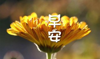 早间励志短语 早励志语短语