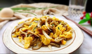 平菇炒鸡蛋怎么做 平菇炒鸡蛋做法大全