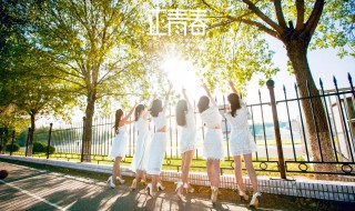 正青春电视结局是什么(正青春电视剧剧情介绍大结局)