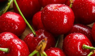 大樱桃怎么做辅食 大樱桃怎么做辅食好吃