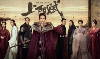 上阳赋是哪个朝代（上阳赋是哪个朝代的电视剧）