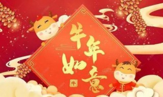 春节领导祝福短信(春节领导祝福短信怎么写)