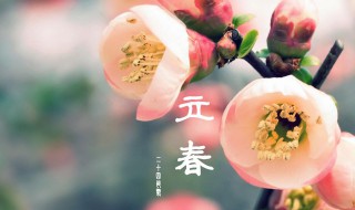 立春的说说心情 立春的说说心情短句