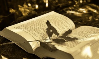 和平精英单字id大全 和平精英单字id大全没人用