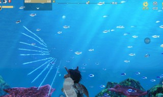 妄想山海鱼肉丸子怎么做（妄想山海的鱼丸怎么做）