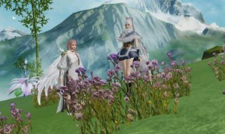 妄想山海回凝神菜怎么做（妄想山海的菜怎么做）