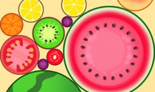 合成西瓜小游戏技巧(合成西瓜小游戏技巧视频)