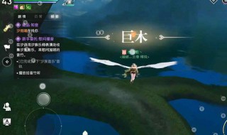 天谕炼器骰怎么用 天谕炼器骰是什么