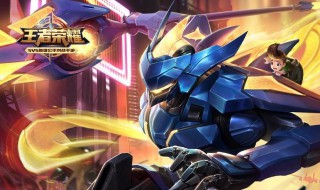 王者荣耀怎么隐藏皮肤 王者荣耀怎么隐藏皮肤图鉴