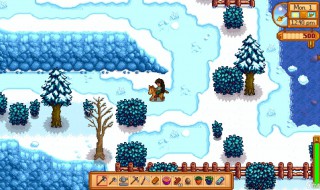 星露谷物语核桃获取方法（星露谷物语 核桃）