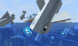 我的世界海豚驯服技巧（我的世界海豚驯服技巧视频）