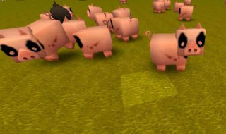 迷你世界猪怎么繁殖 迷你世界猪怎么繁殖后代