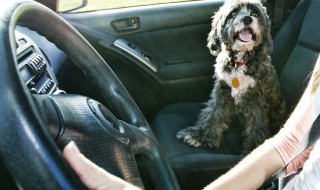 快速过弯的十种方法 快速过弯的十种方法图解