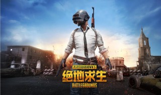 绝地求生情侣名字(绝地求生情侣名字搞笑)