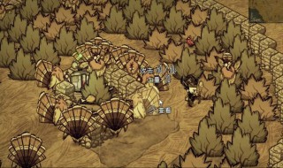 饥荒抓火鸡方法（饥荒火鸡怎么捉）