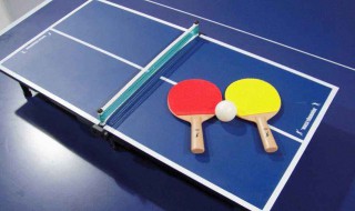 快速学会乒乓球旋球的方法（快速学会乒乓球旋球的方法是什么）