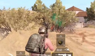 刺激战场最稀有的衣服（刺激战场最稀有的衣服是什么）