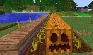 我的世界南瓜怎么种（我的世界南瓜怎么种不出来）