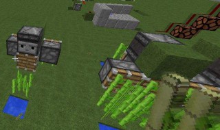 我的世界甘蔗怎么种（我的世界甘蔗怎么种效益最大）