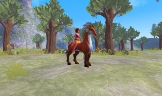 创造与魔法牛筋怎么弄（创造与魔法牛筋怎么获得）